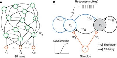 Adaptive Stimulus Design for Dynamic Recurrent Neural Network Models